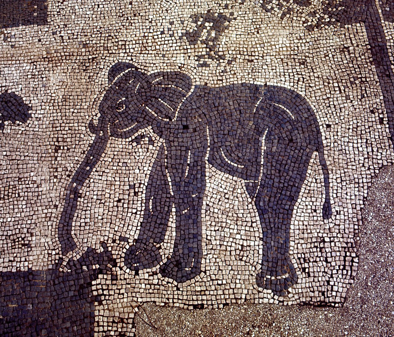 Antica Ostia. Piazza delle Corporazioni. Mosaico della Corporazione dei Naviganti di Sabratha da Roman Roman