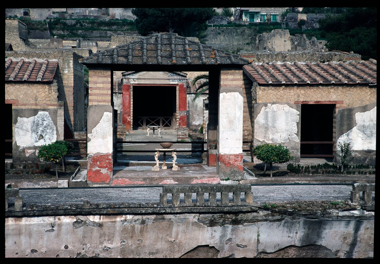 Casa dei cervi da Roman Roman