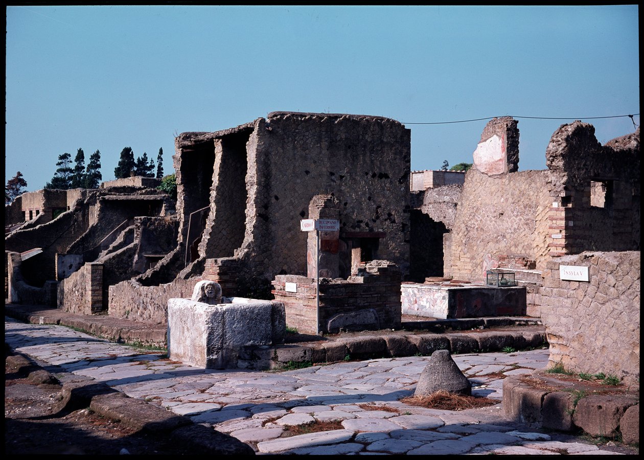 Incrocio tra cardo V e decumano inferiore da Roman Roman