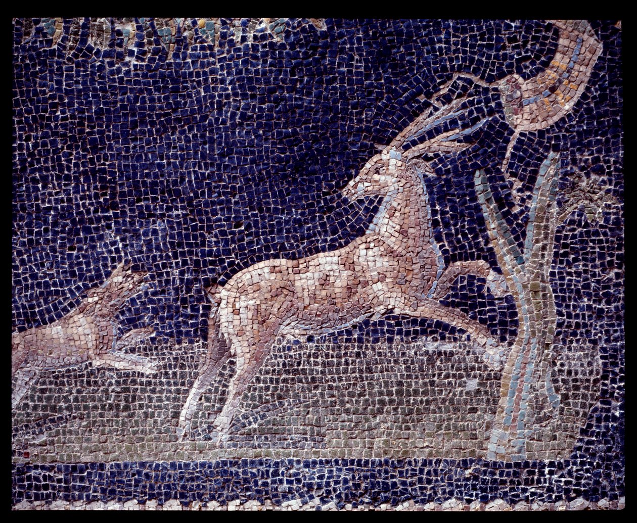 Dettaglio dei mosaici murali del ninfeo della casa di Nettuno e Anfitrite, V secolo a.C.-I secolo d.C. da Roman Roman