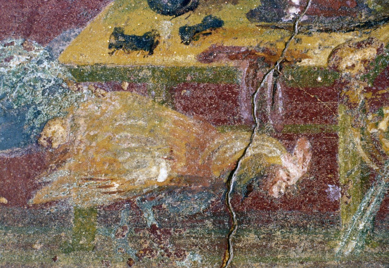 Affresco, Casa dei Vettii, Pompei (Lista del Patrimonio Mondiale UNESCO) da Roman Roman
