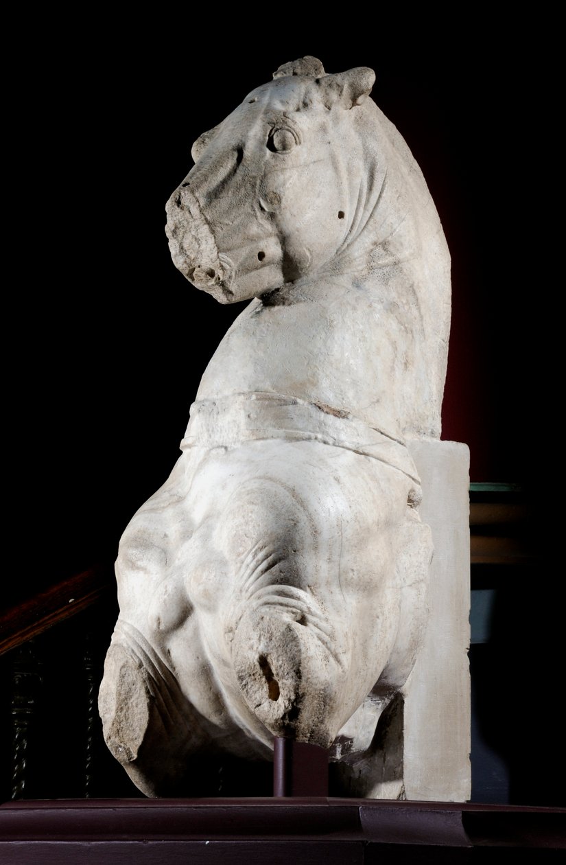 Parte anteriore di un cavallo (marmo) da Roman Roman