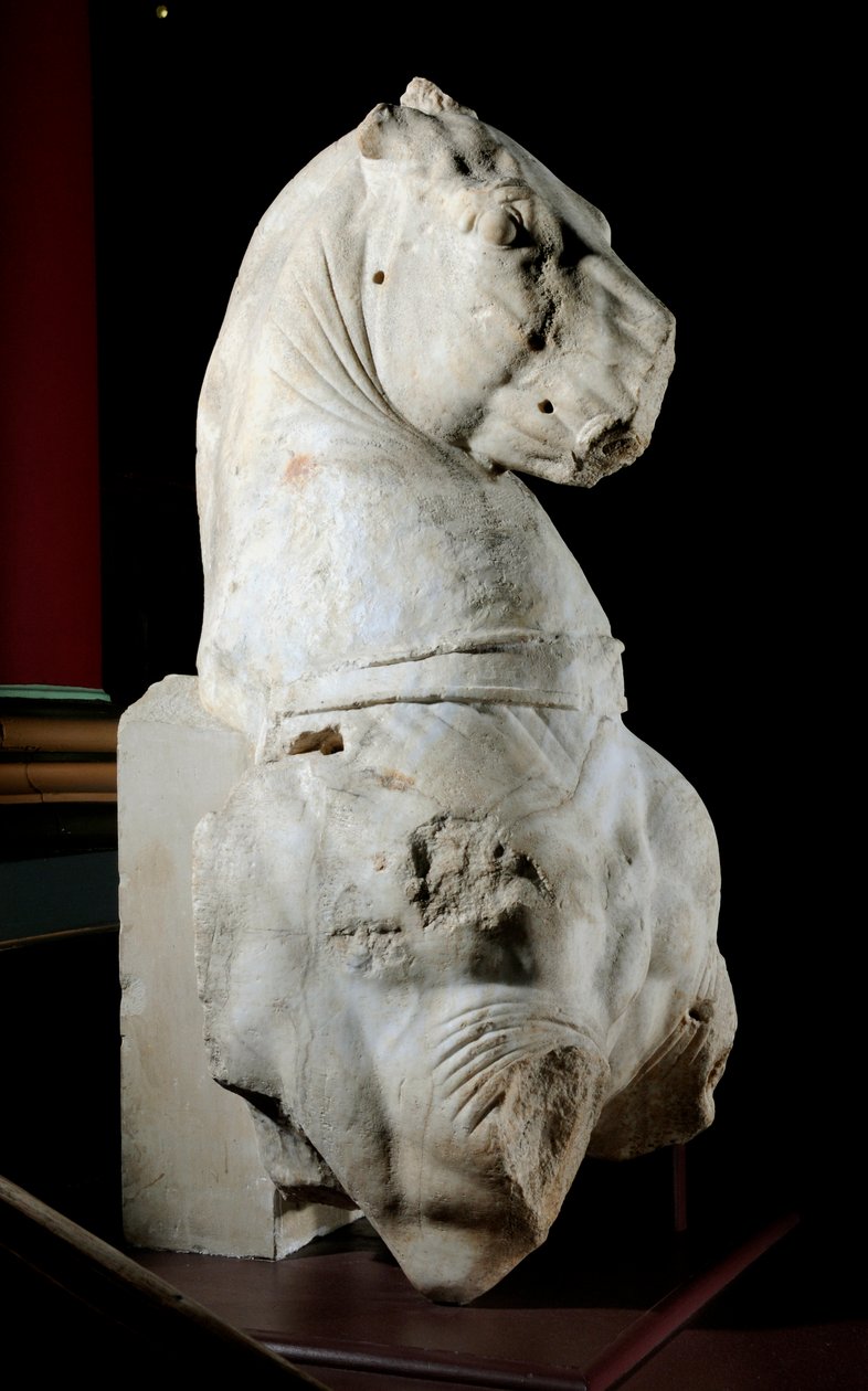 Parte anteriore di un cavallo da Roman Roman