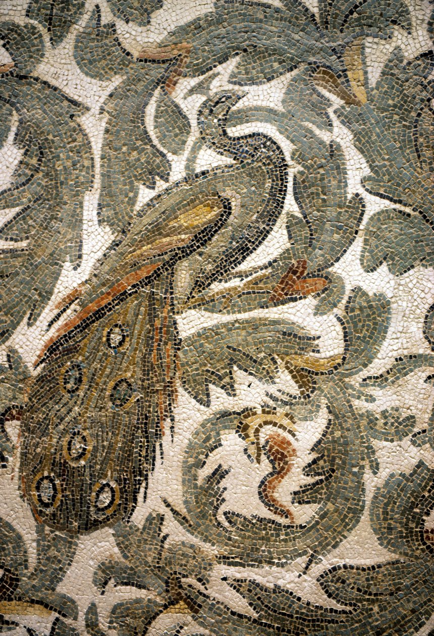 Pavone, Dettaglio di Mosaico - IV secolo d.C., Museo del Bardo, Tunisi da Roman Roman