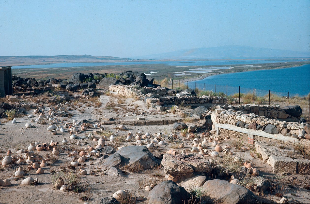 Veduta del sito della città di Tharros, antico porto punico-romano, fondato dai Fenici in Sardegna, Italia da Roman Roman