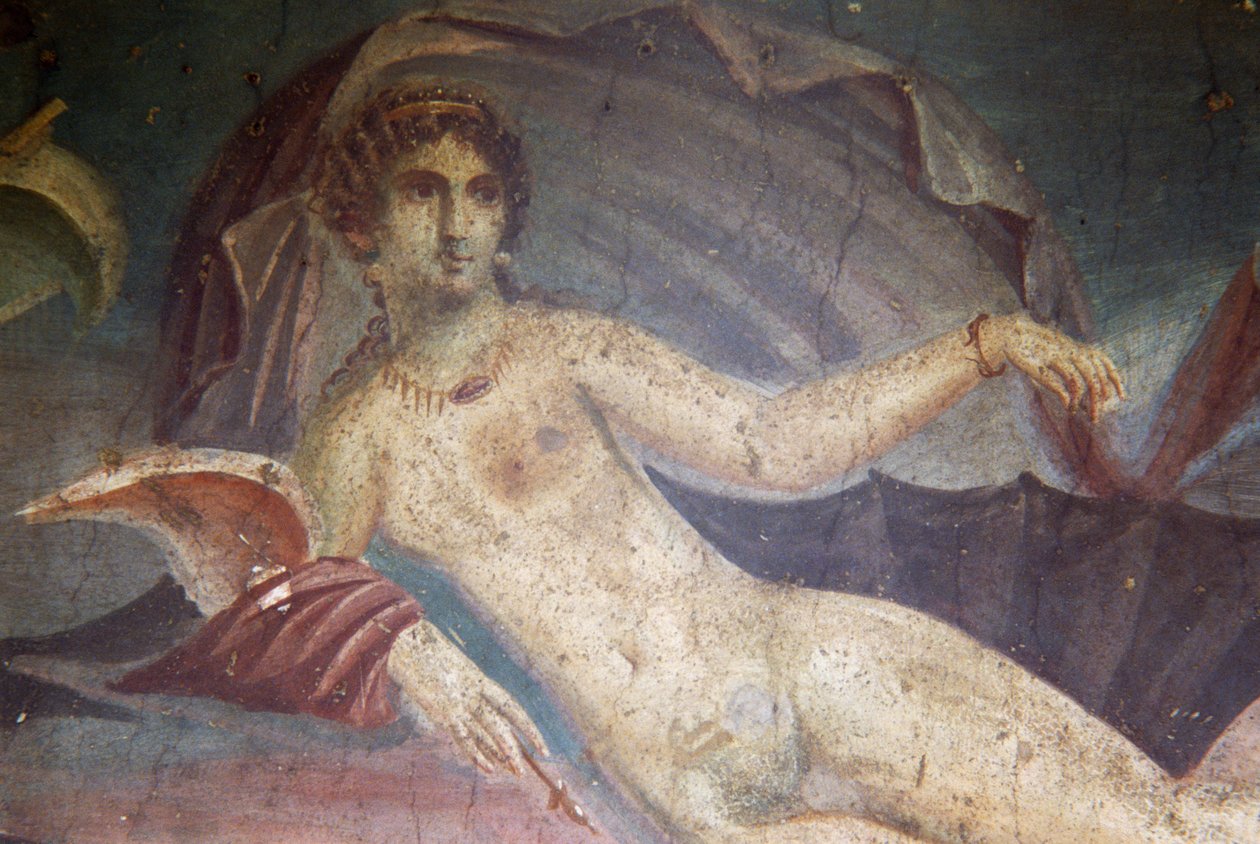 Venere nella conchiglia, dettaglio da affresco nel peristilio, Casa della Venere nella Conchiglia, Pompei (Lista del Patrimonio Mondiale UNESCO) da Roman Roman