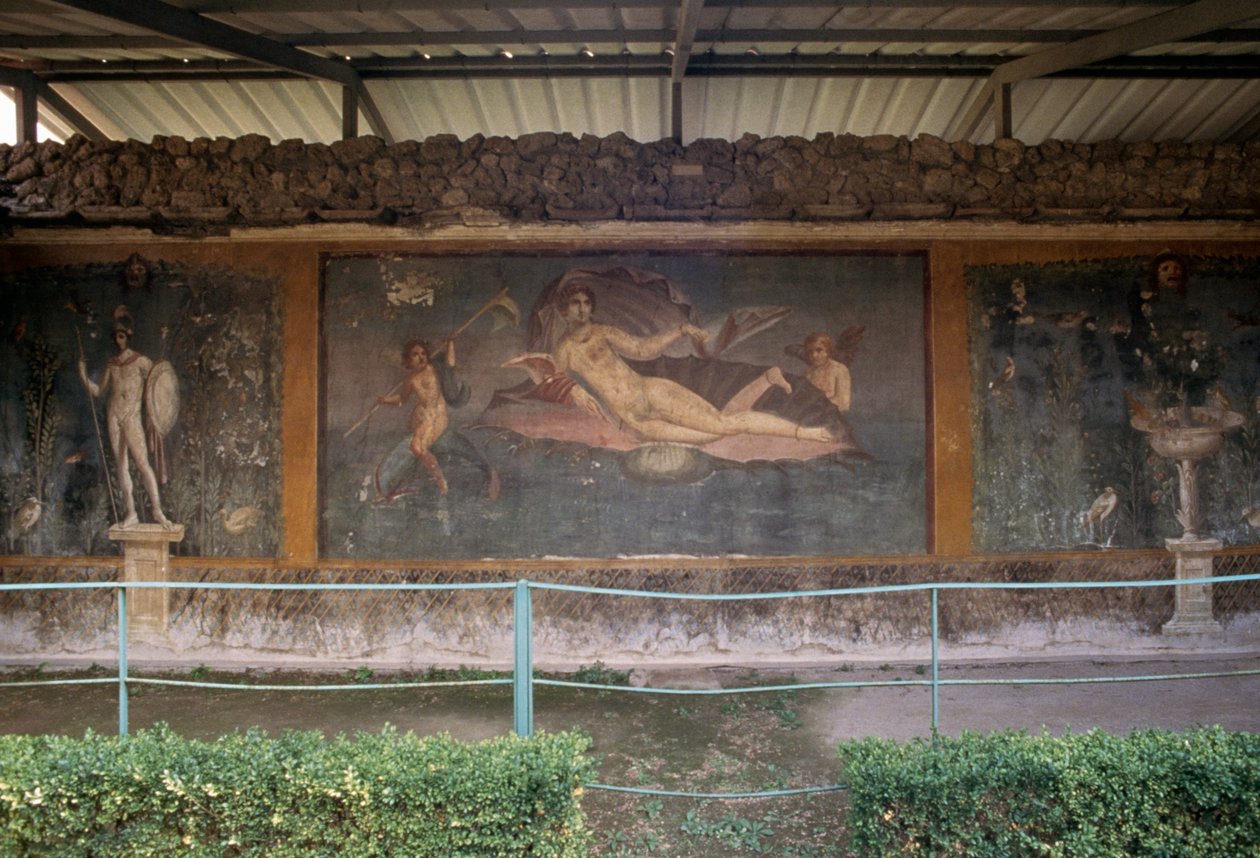 Venere nella conchiglia, affresco dal peristilio nella Casa di Venere nella Conchiglia, Pompei (Lista del Patrimonio Mondiale UNESCO) da Roman Roman