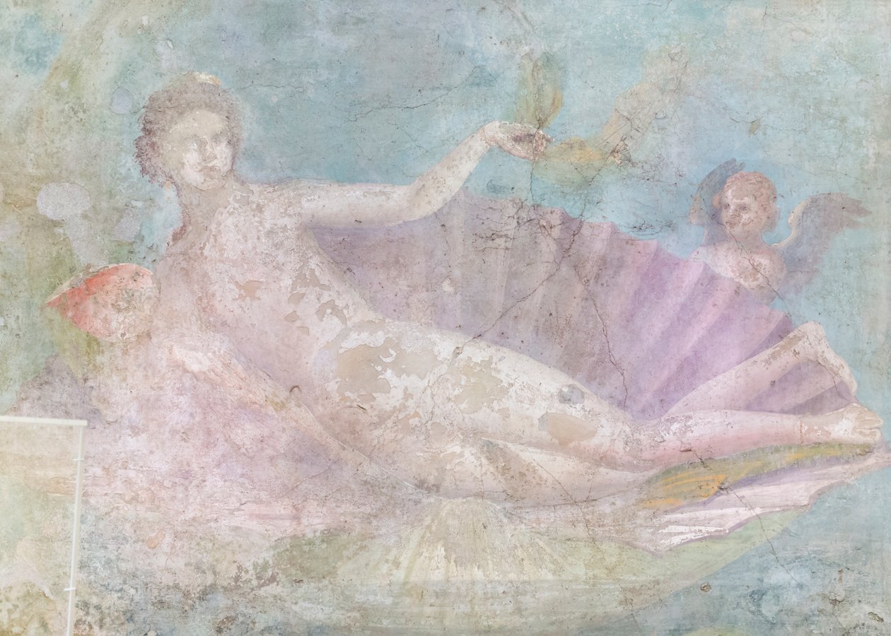 Venere su conchiglia, dipinto, 50-75 d.C. (affresco) da Roman Roman