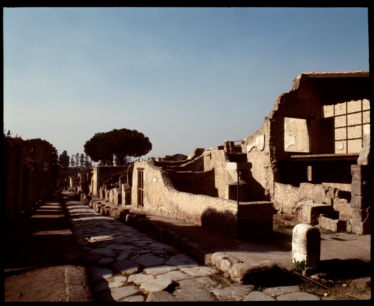 Veduta del Decumanus Maximus, V secolo a.C.-I secolo d.C. da Roman Roman