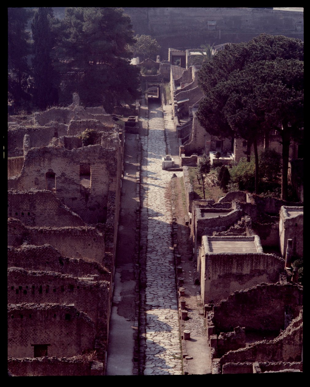 Vista del cardo V, V secolo a.C.-I secolo d.C. da Roman Roman
