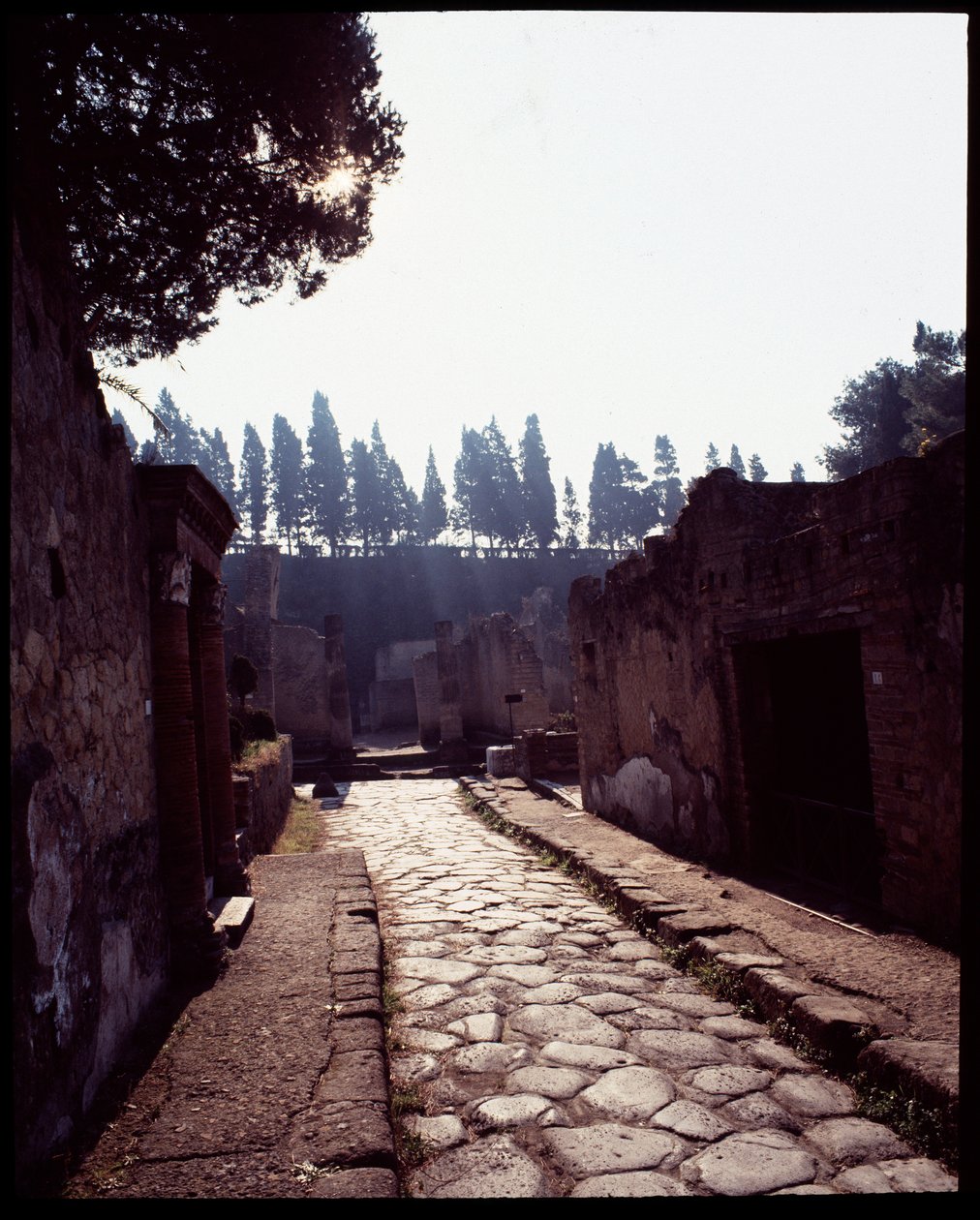 Veduta del cardo V, V secolo a.C.-I secolo d.C. da Roman Roman