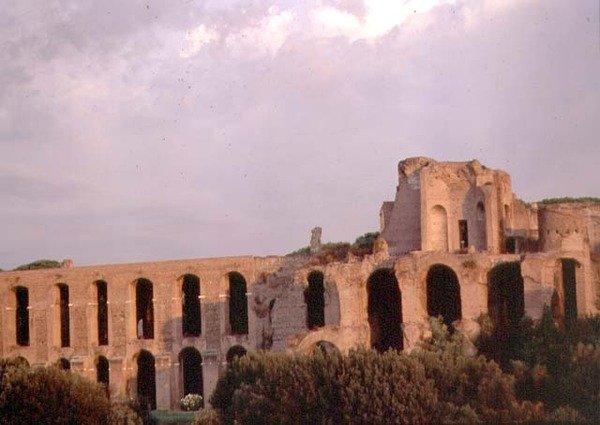 Vista del Palatino dal Circo Massimo da Roman Roman