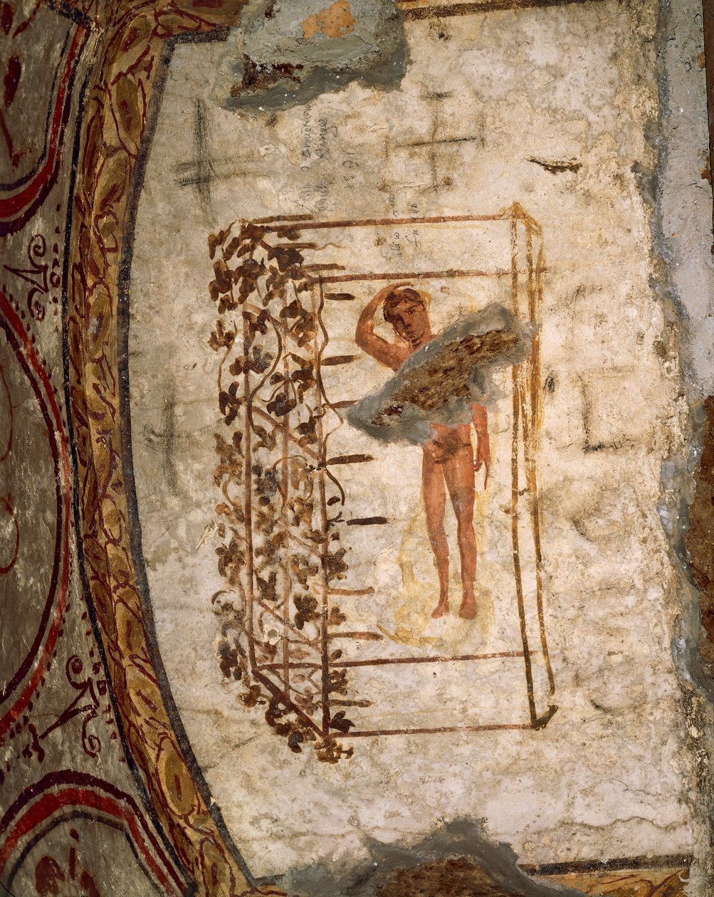Gioventù, traliccio e viti, III-V secolo d.C. da Roman Roman
