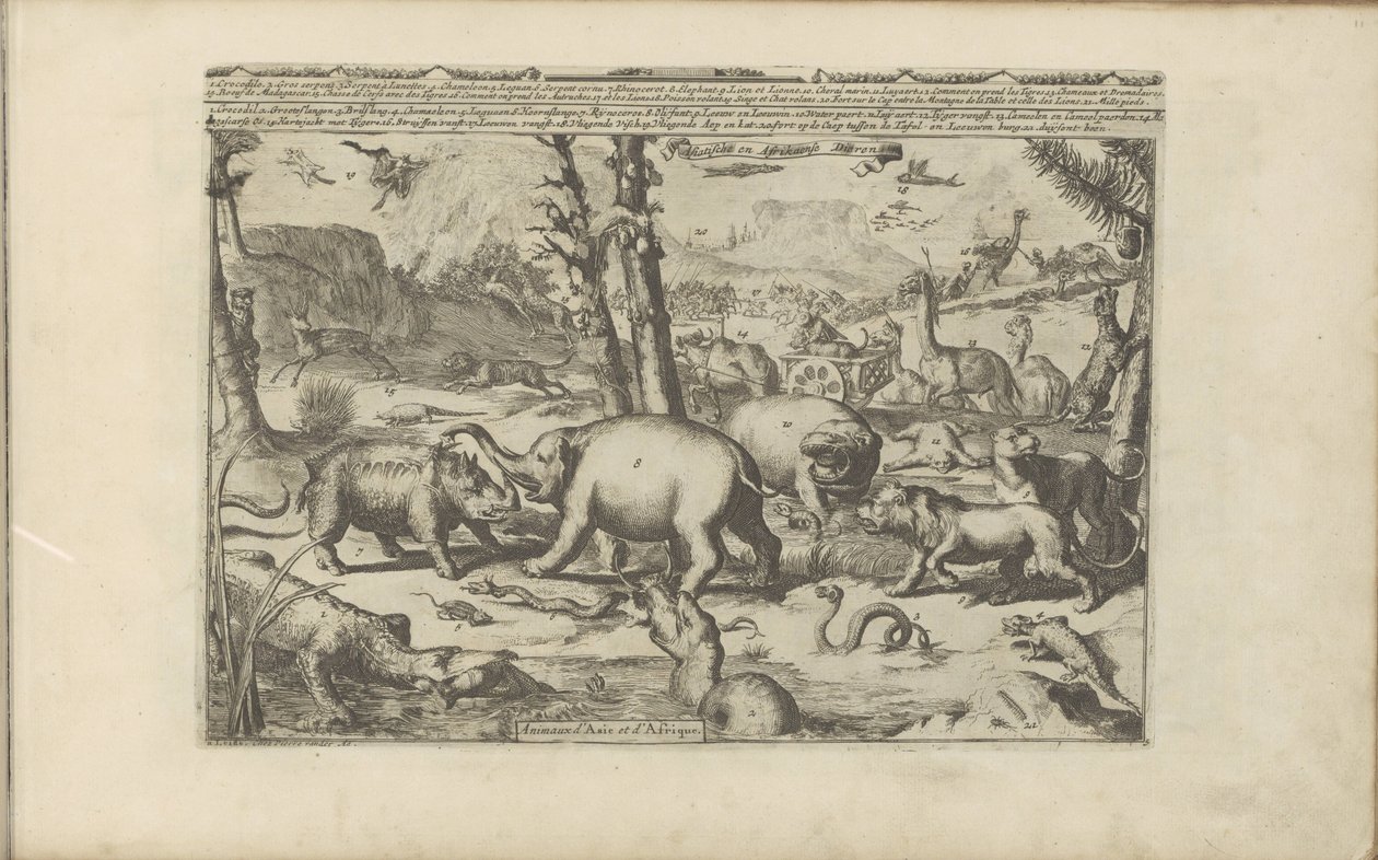 Animali asiatici e africani da Romeyn de Hooghe