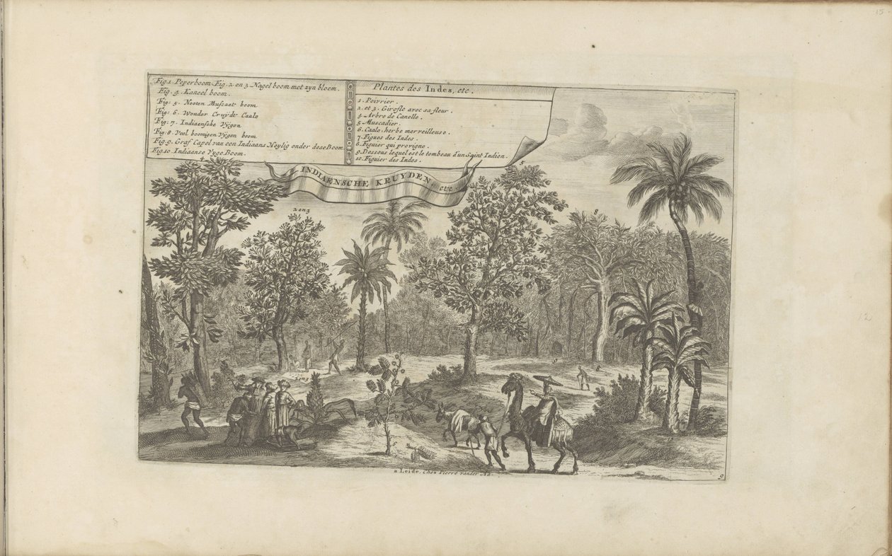 Alberi e spezie da Romeyn de Hooghe