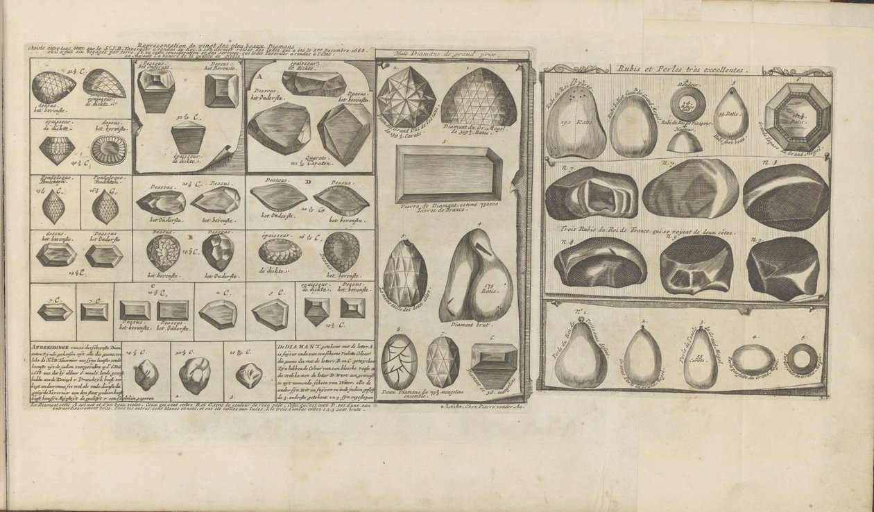 Diamanti, rubini e perle da Romeyn de Hooghe