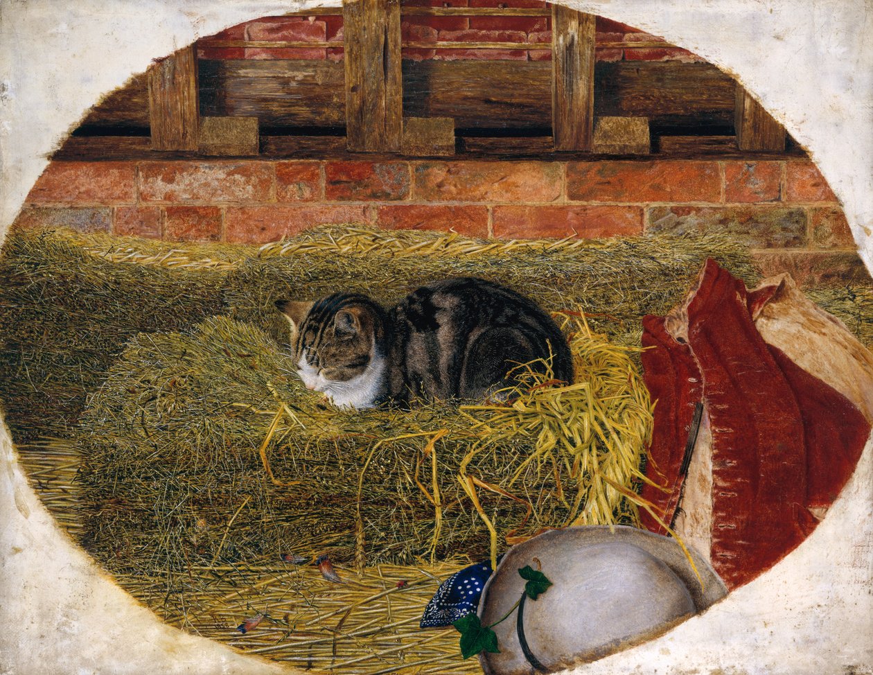 Pisolino del gatto da Rosa Brett