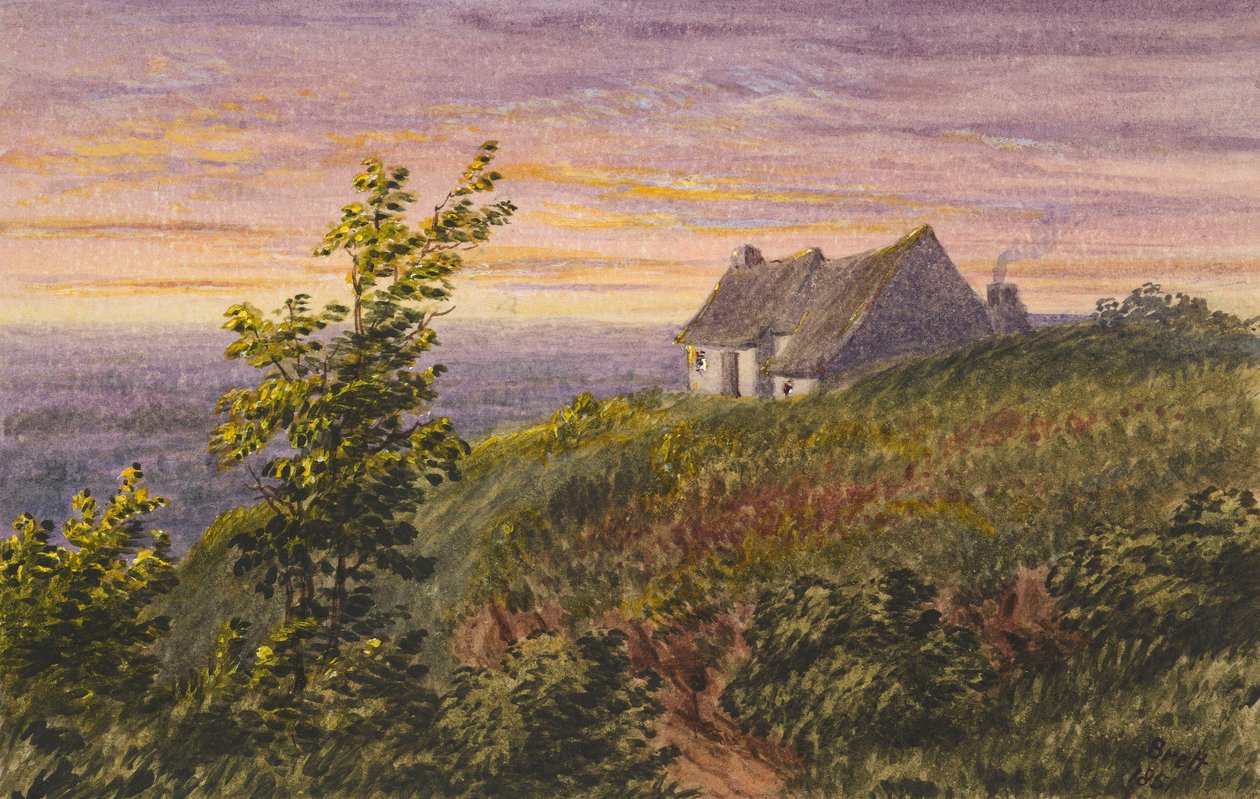 Da Bluebell Hill da Rosa Brett