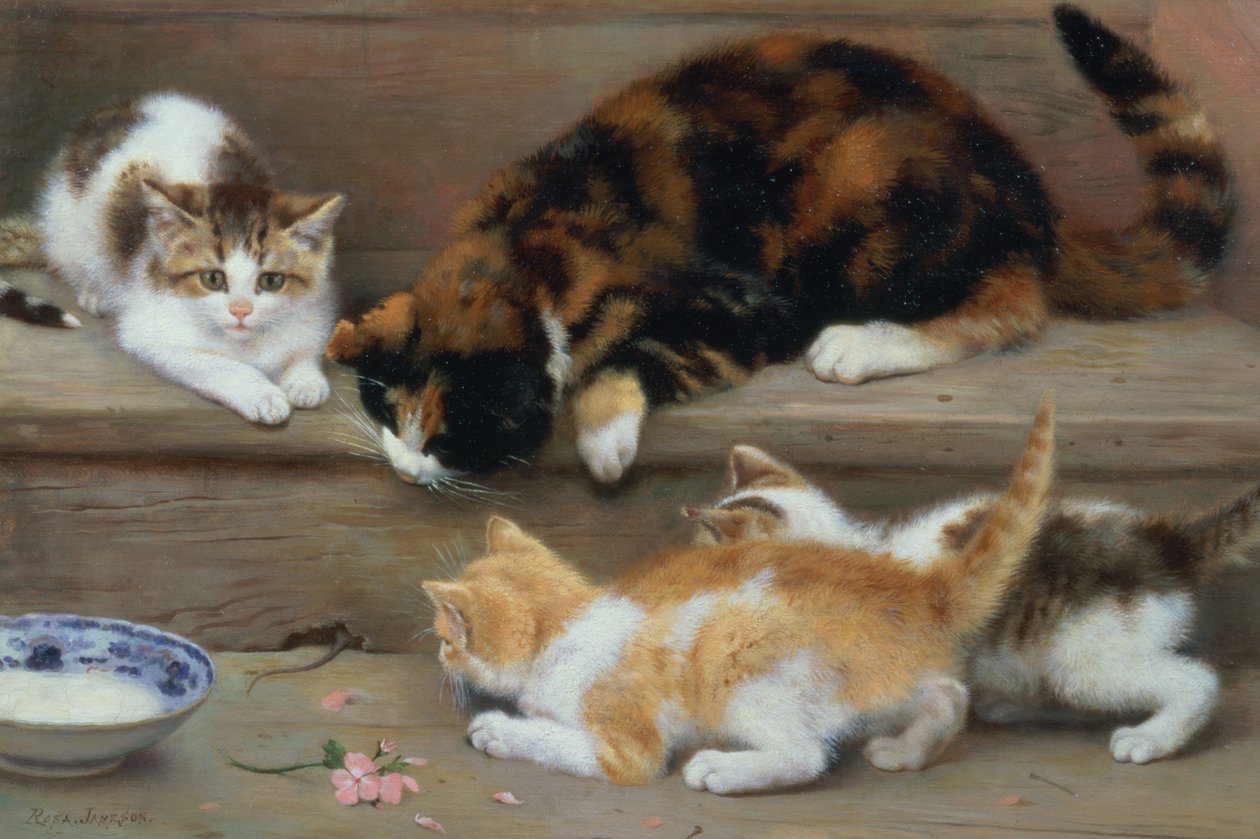 Gatto e gattini che inseguono un topo da Rosa Jameson