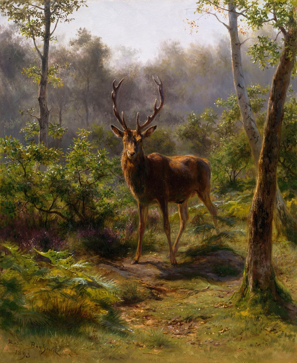 Un cervo da Rosa Bonheur
