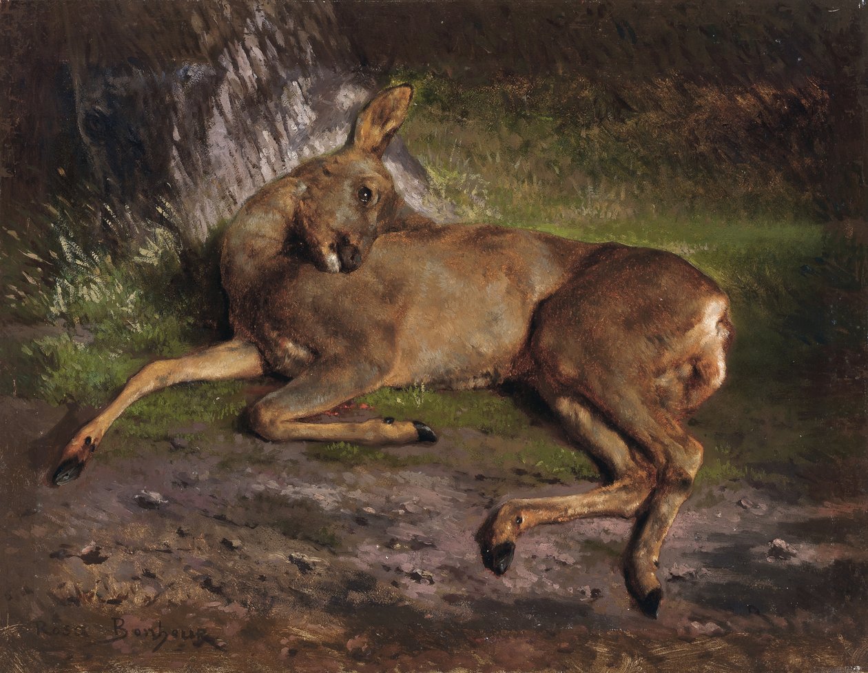 Un capriolo nella foresta da Rosa Bonheur