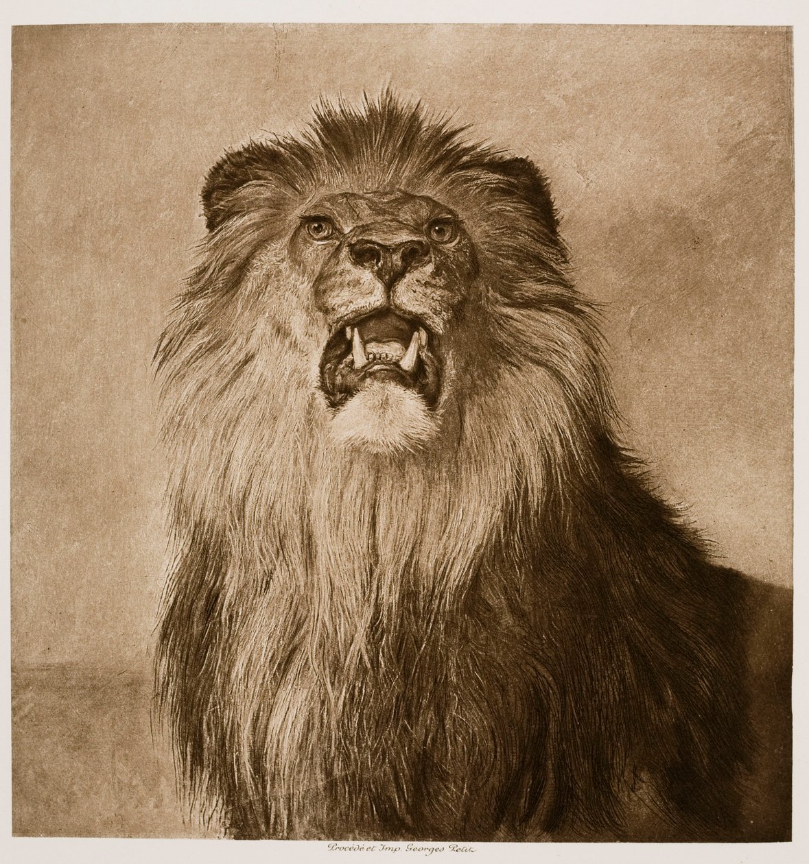 Leone ruggente da Rosa Bonheur