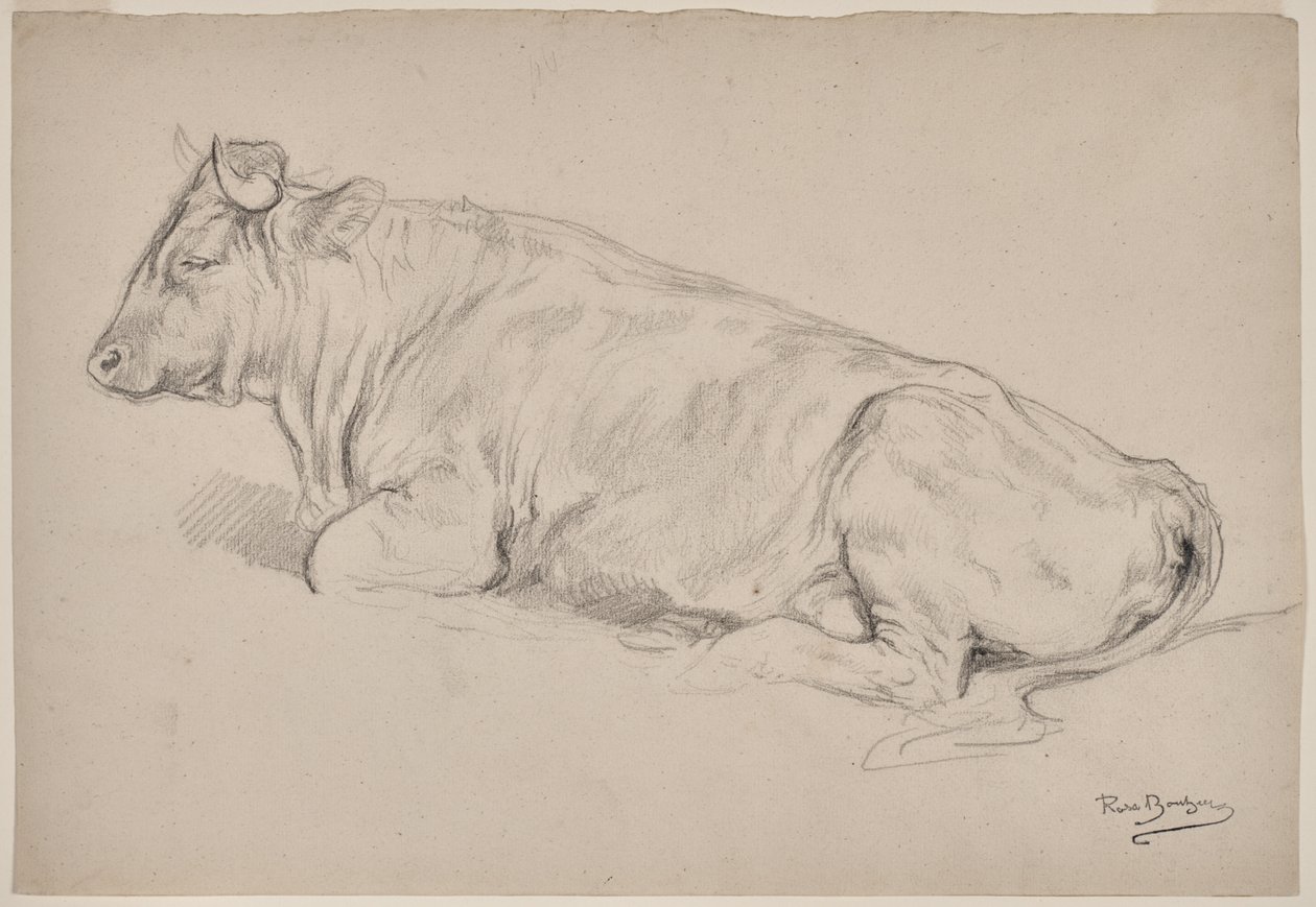 Toro a riposo da Rosa Bonheur