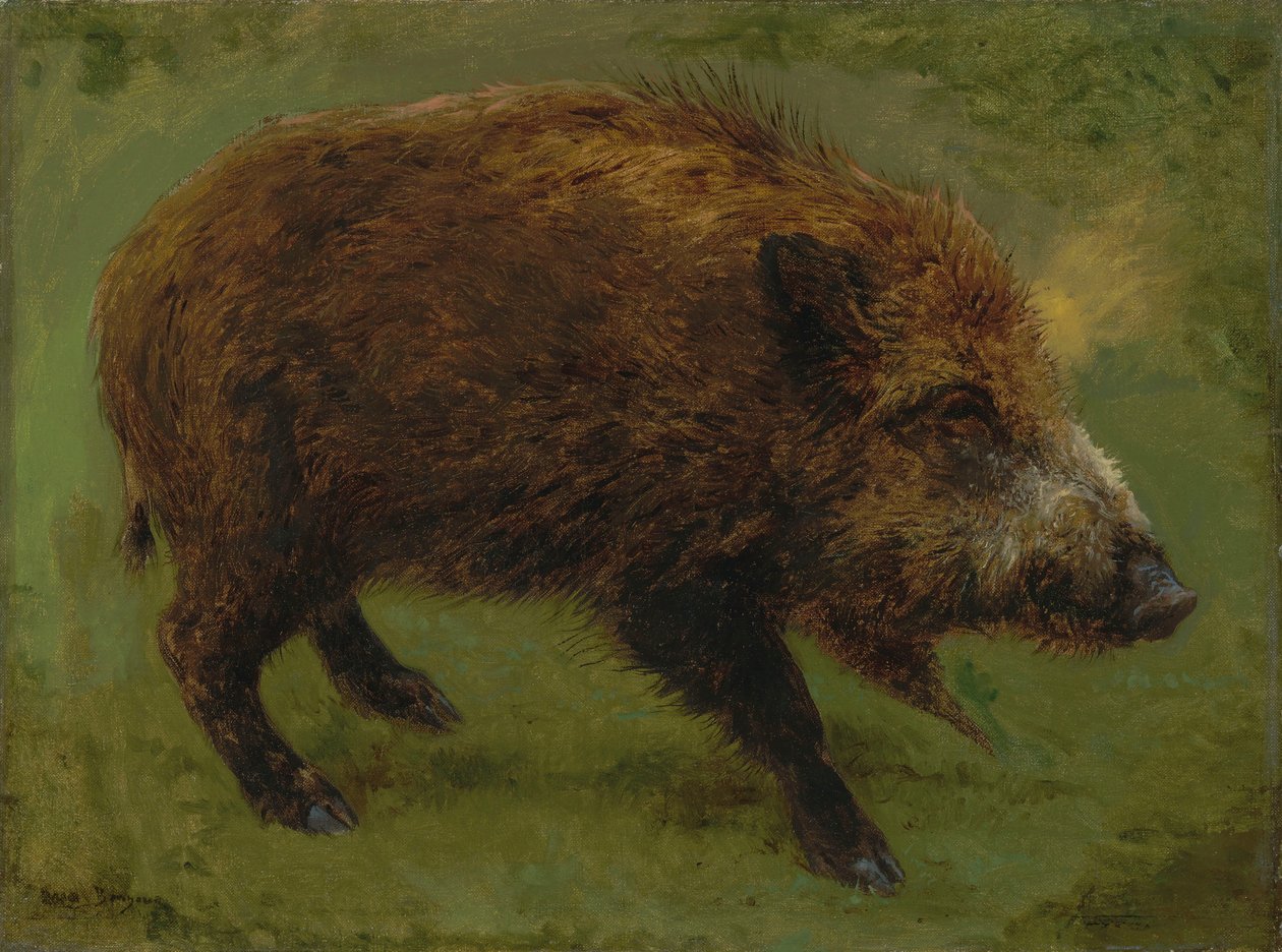 Francese:  Le sanglier Cinghiale da Rosa Bonheur