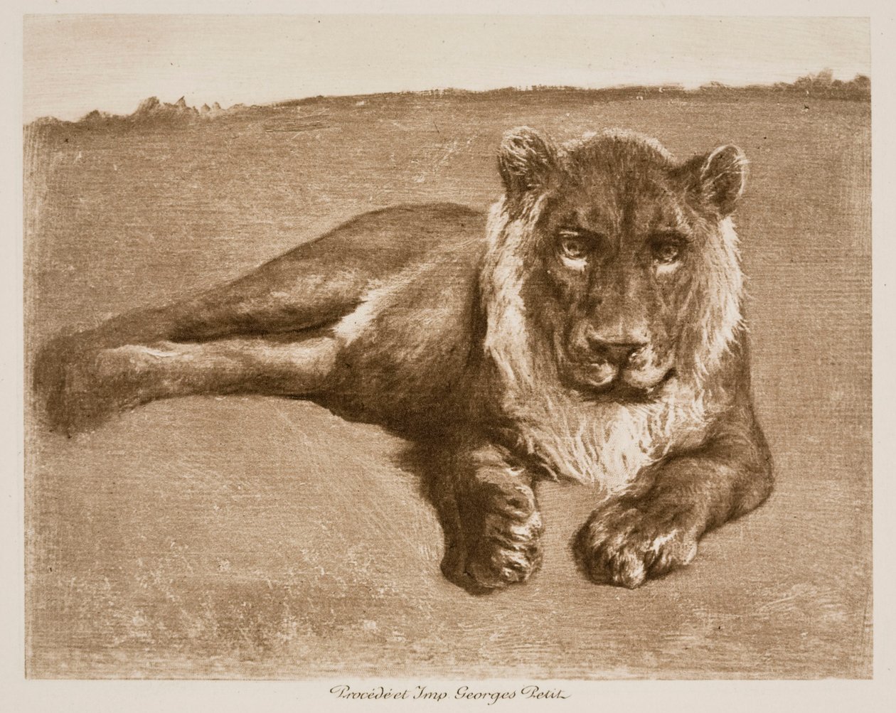 Leone da Rosa Bonheur