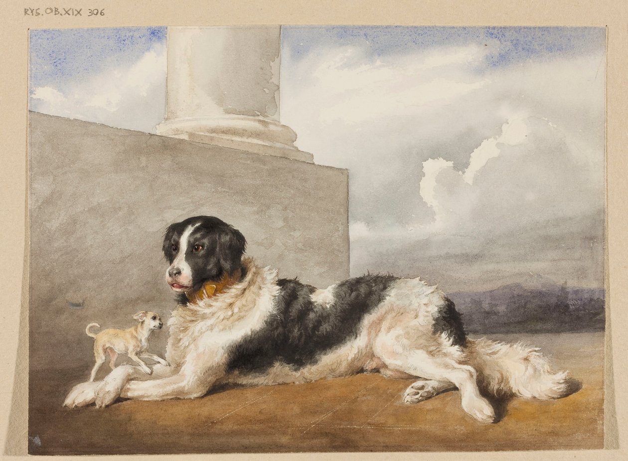 I cani dei principi Czartoryski, Sultano e Rosette da Rosa Bonheur
