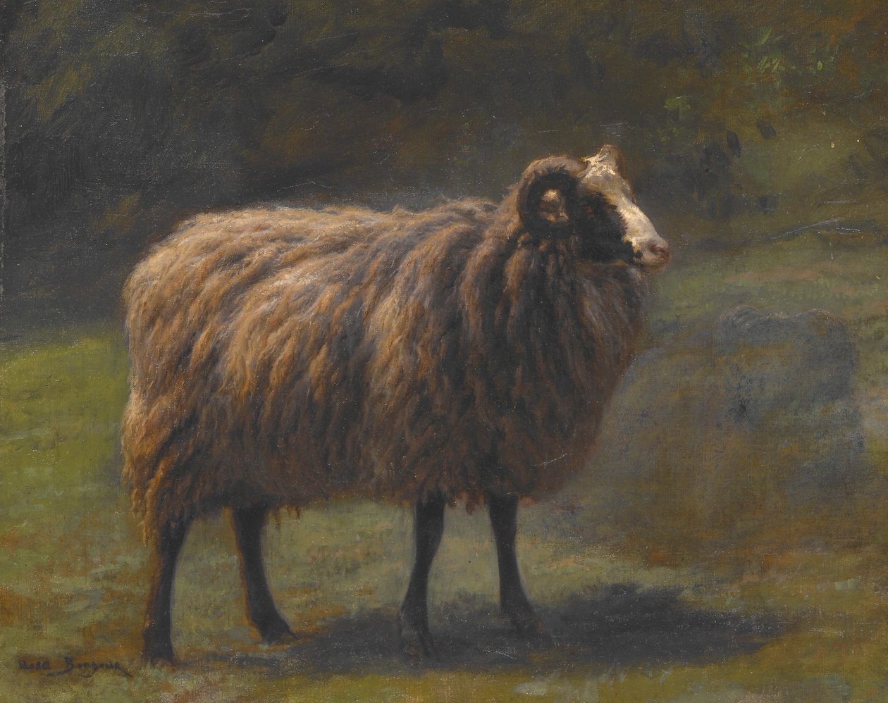 Ariete da Rosa Bonheur