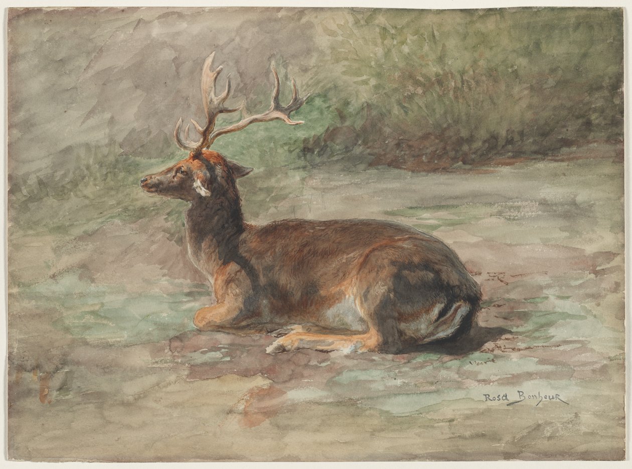 Cervo Disteso, seconda metà del XIX secolo da Rosa Bonheur