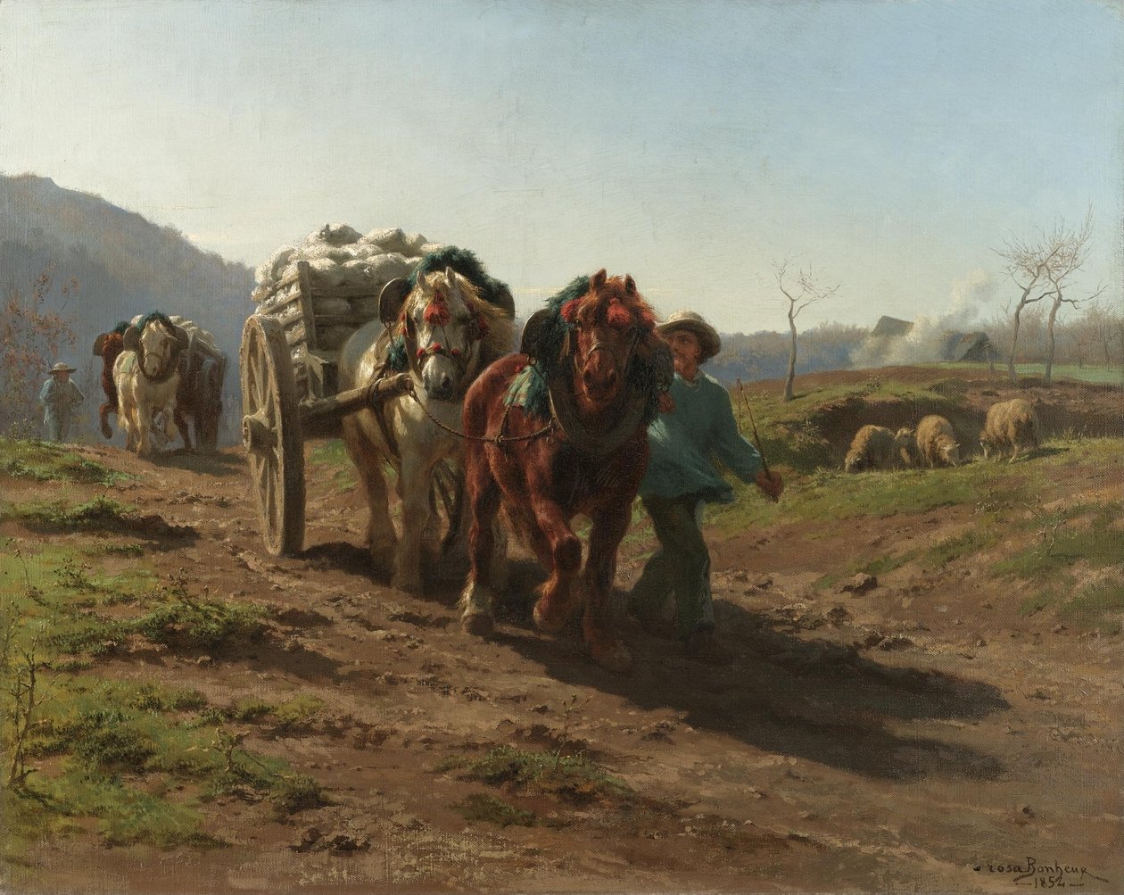 Campi di ritorno da Rosa Bonheur