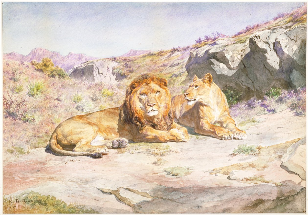La regalità a casa propria da Rosa Bonheur