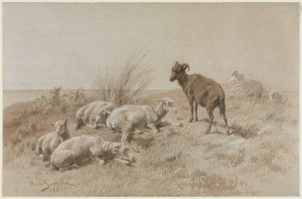 Pecore da Rosa Bonheur