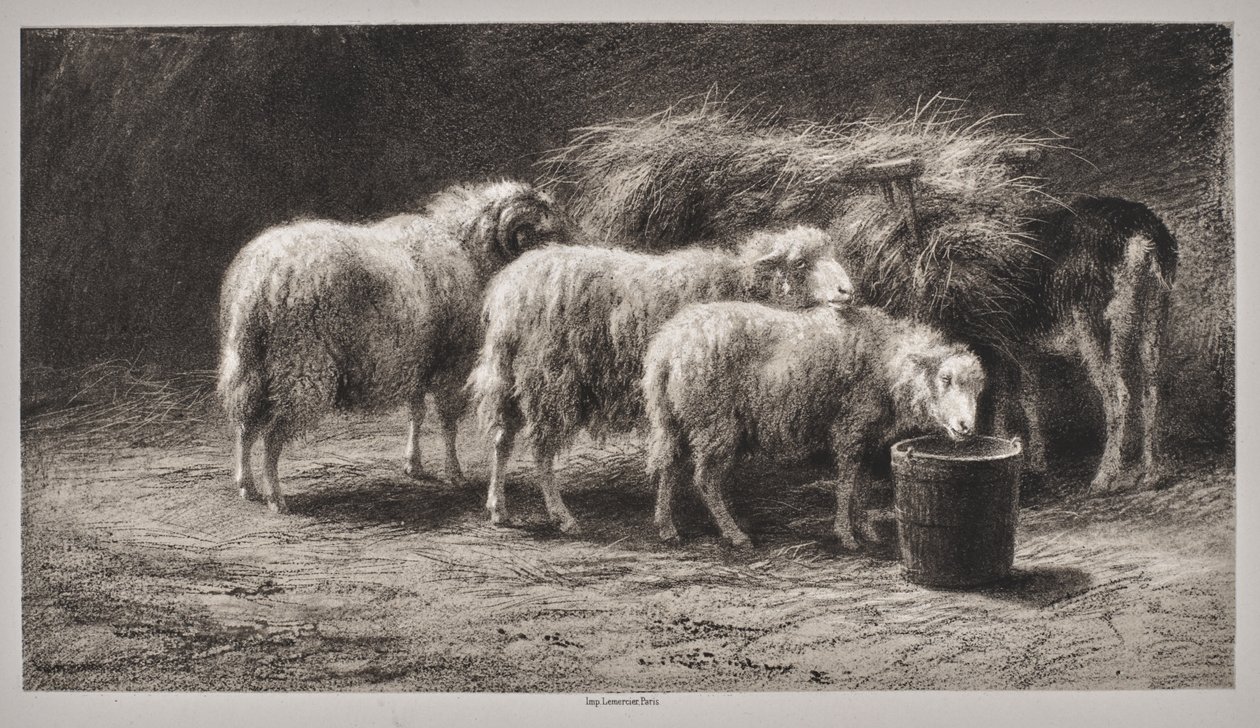 Ovile da Rosa Bonheur