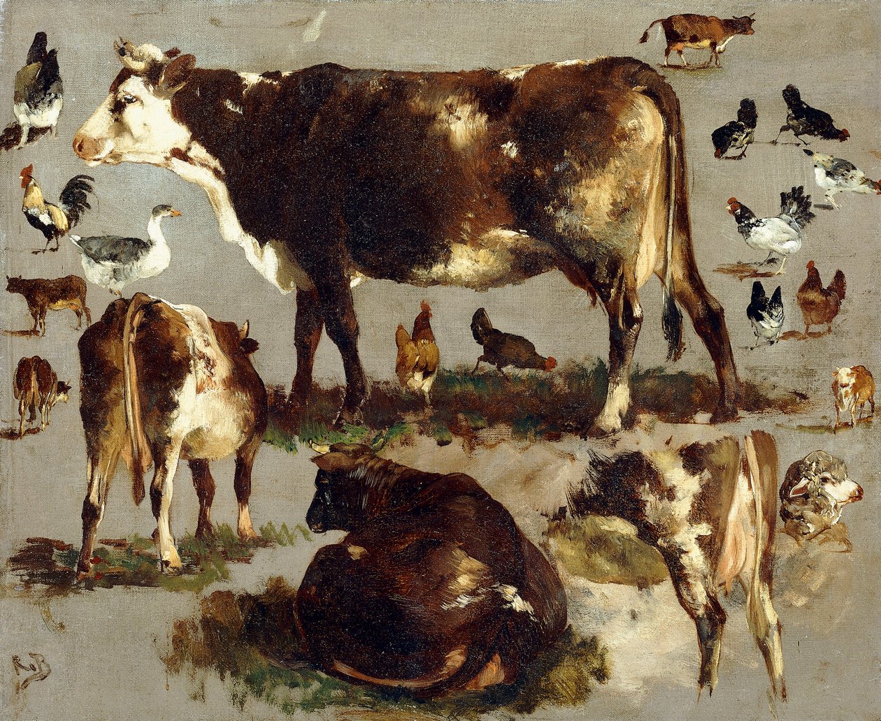Studi di mucche, galline, galli, un