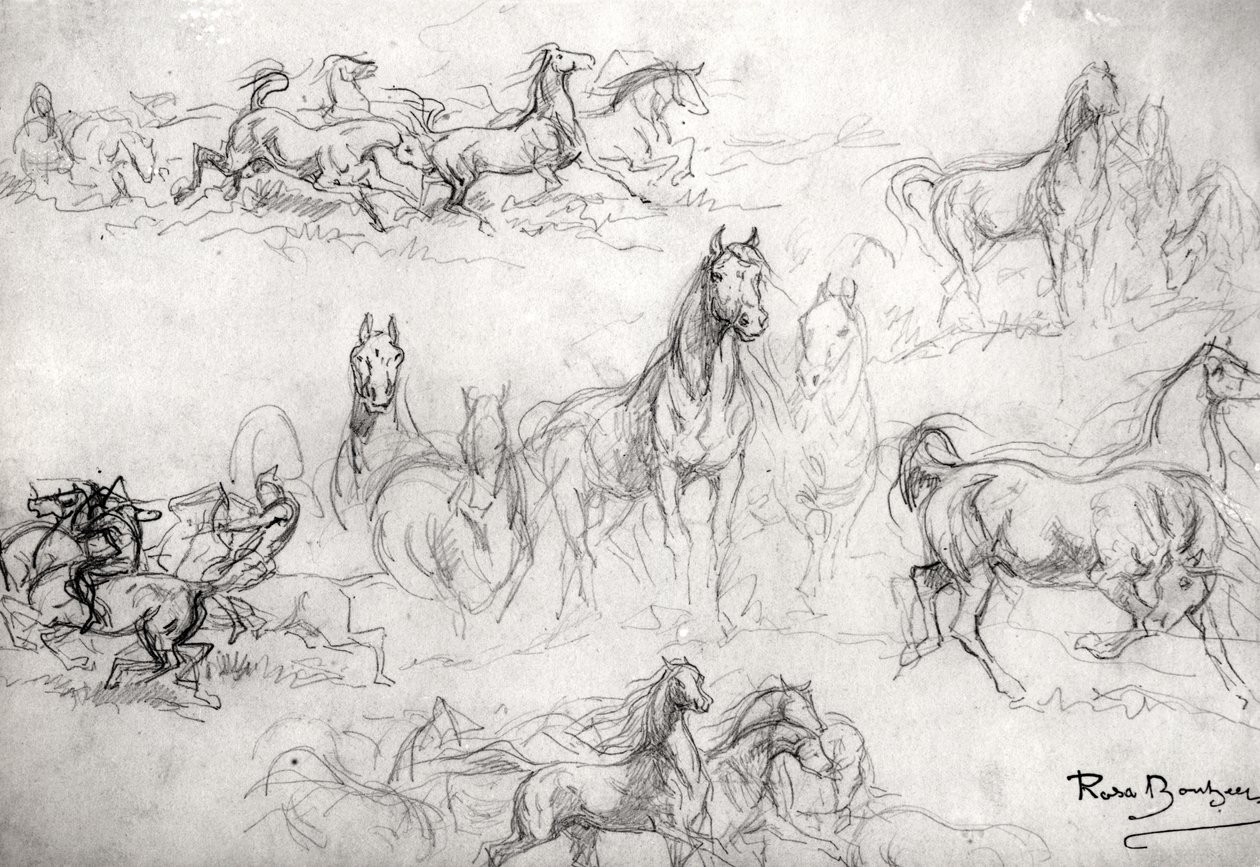 Studio di cavalli da Rosa Bonheur