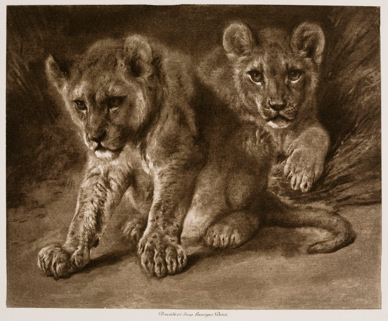 Due cuccioli di leone da Rosa Bonheur