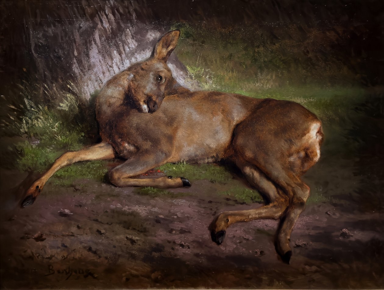 Immagine sconosciuta da Rosa Bonheur