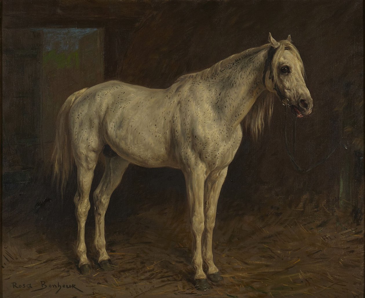 Cavallo bianco da Rosa Bonheur