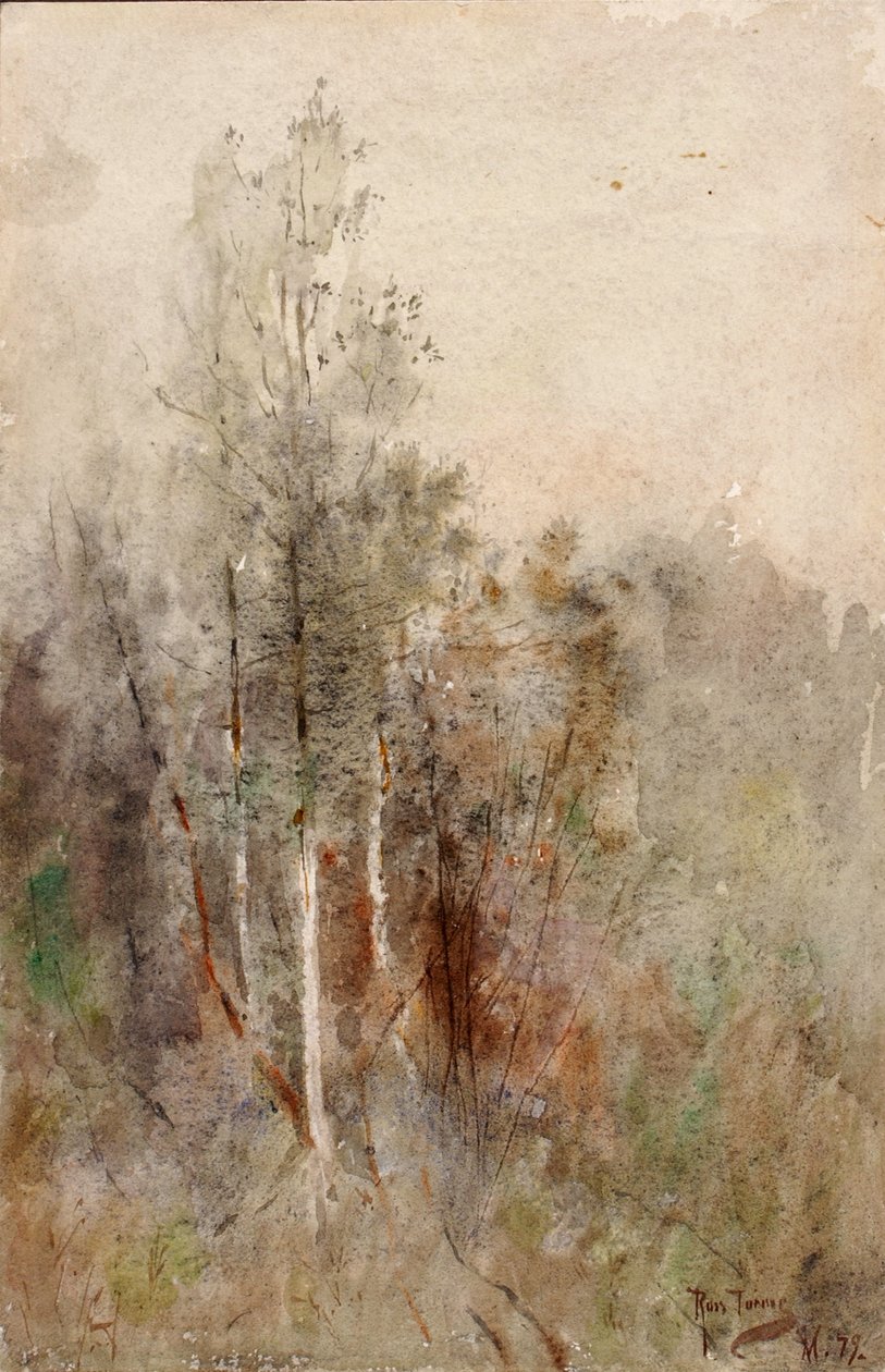 Studio di un albero da Ross Turner