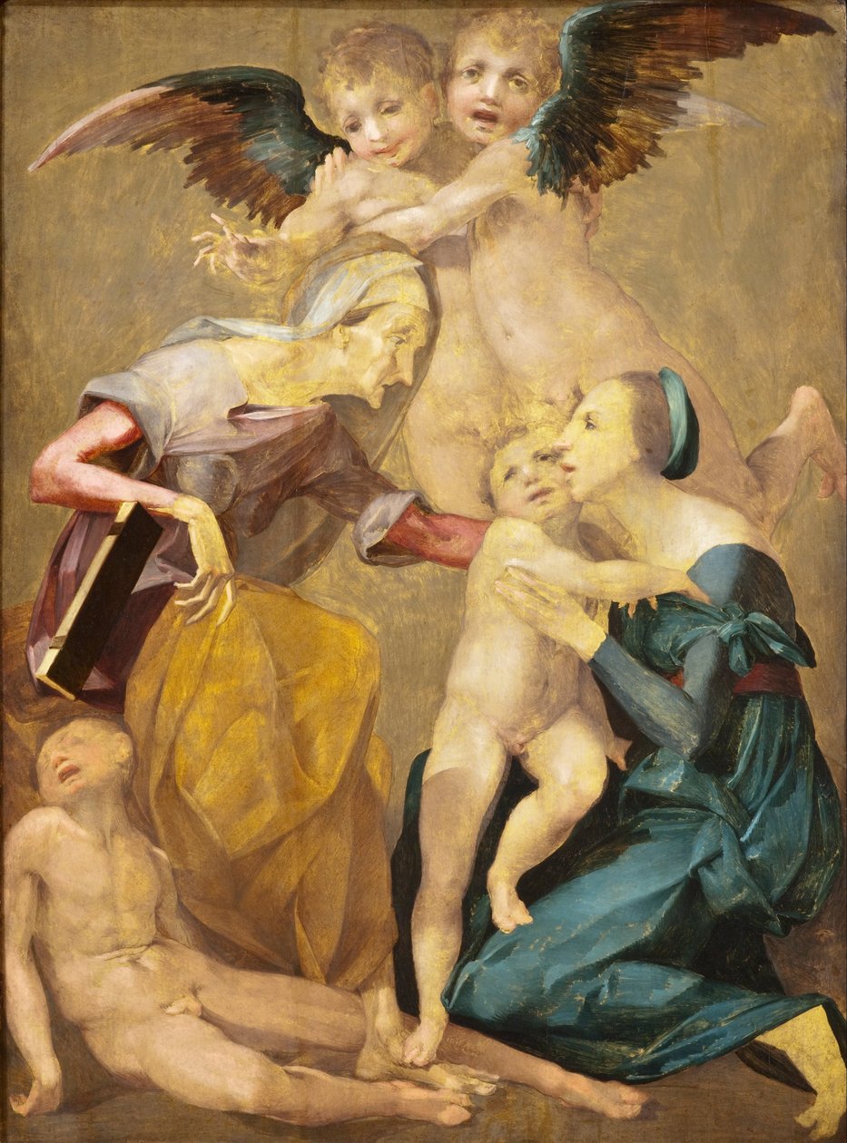 Allegoria della salvezza con la Vergine e il Bambino Gesù, Santa Elisabetta, il giovane San Giovanni Battista (dettaglio) da Rosso Fiorentino