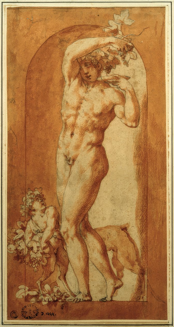 Bacco in nicchia da Rosso Fiorentino