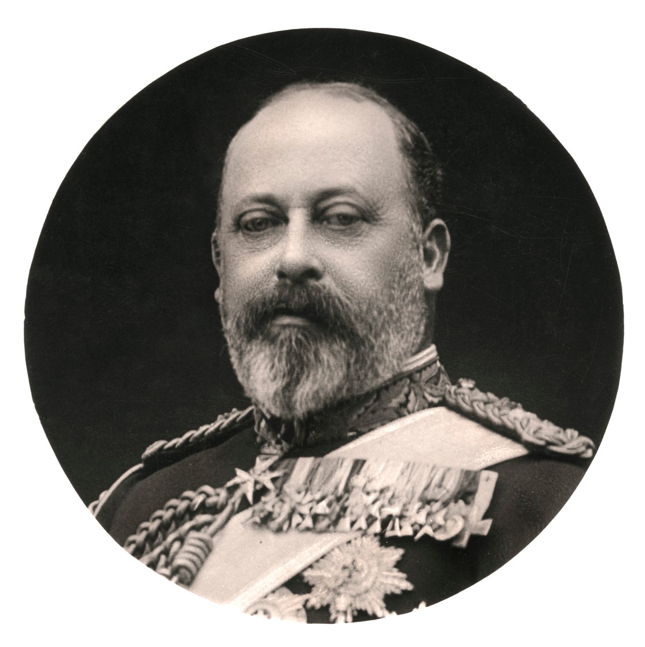 Re Edoardo VII, XX secolo da Rotary Photo