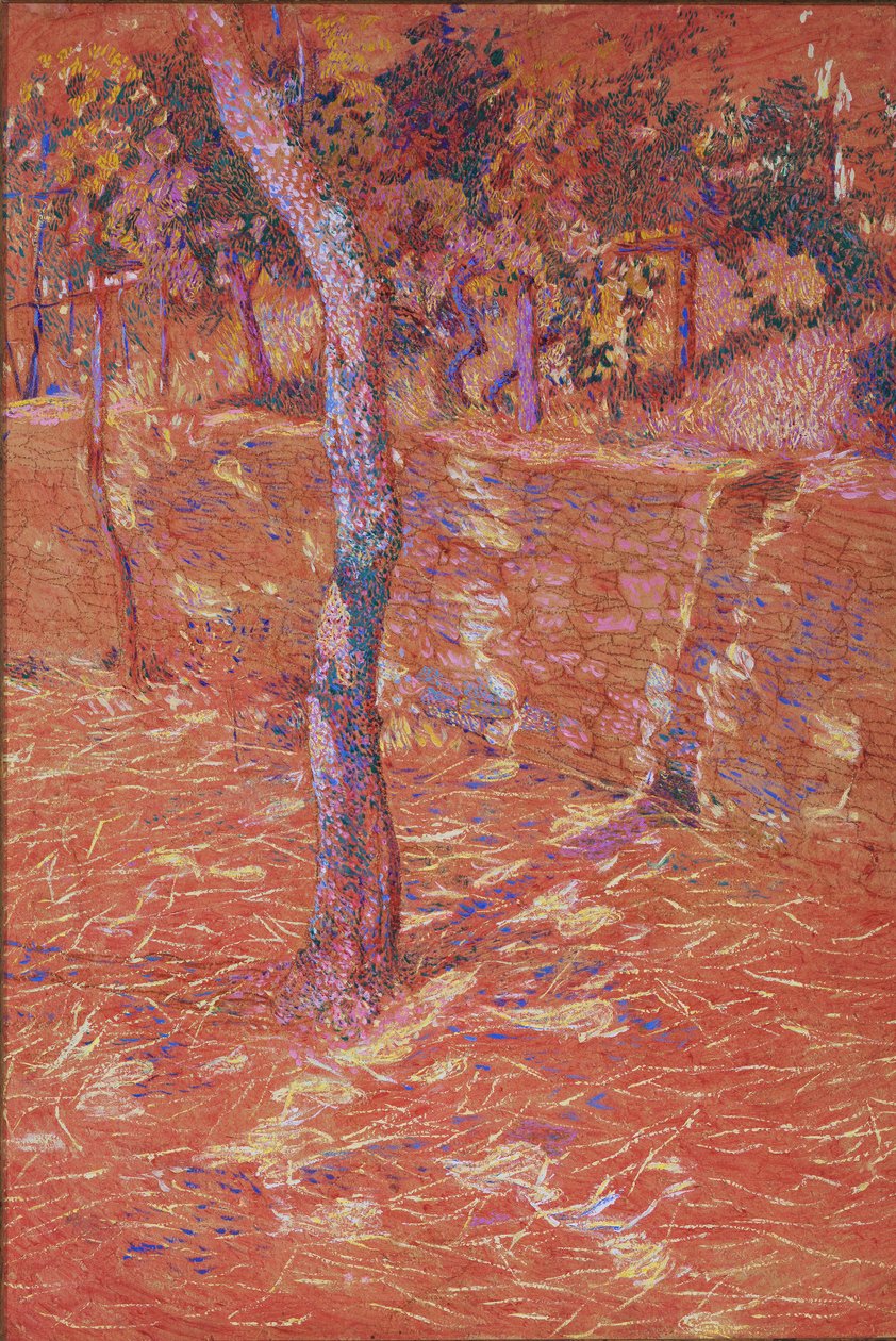 Albero e Muro da Rubaldo Merello