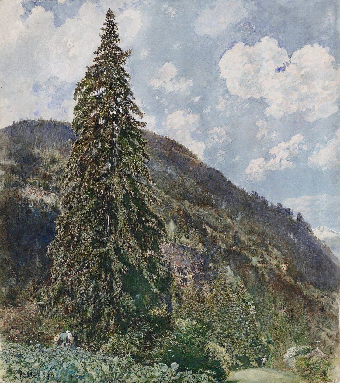 Il vecchio abete a Bad Gastein da Rudolf von Alt