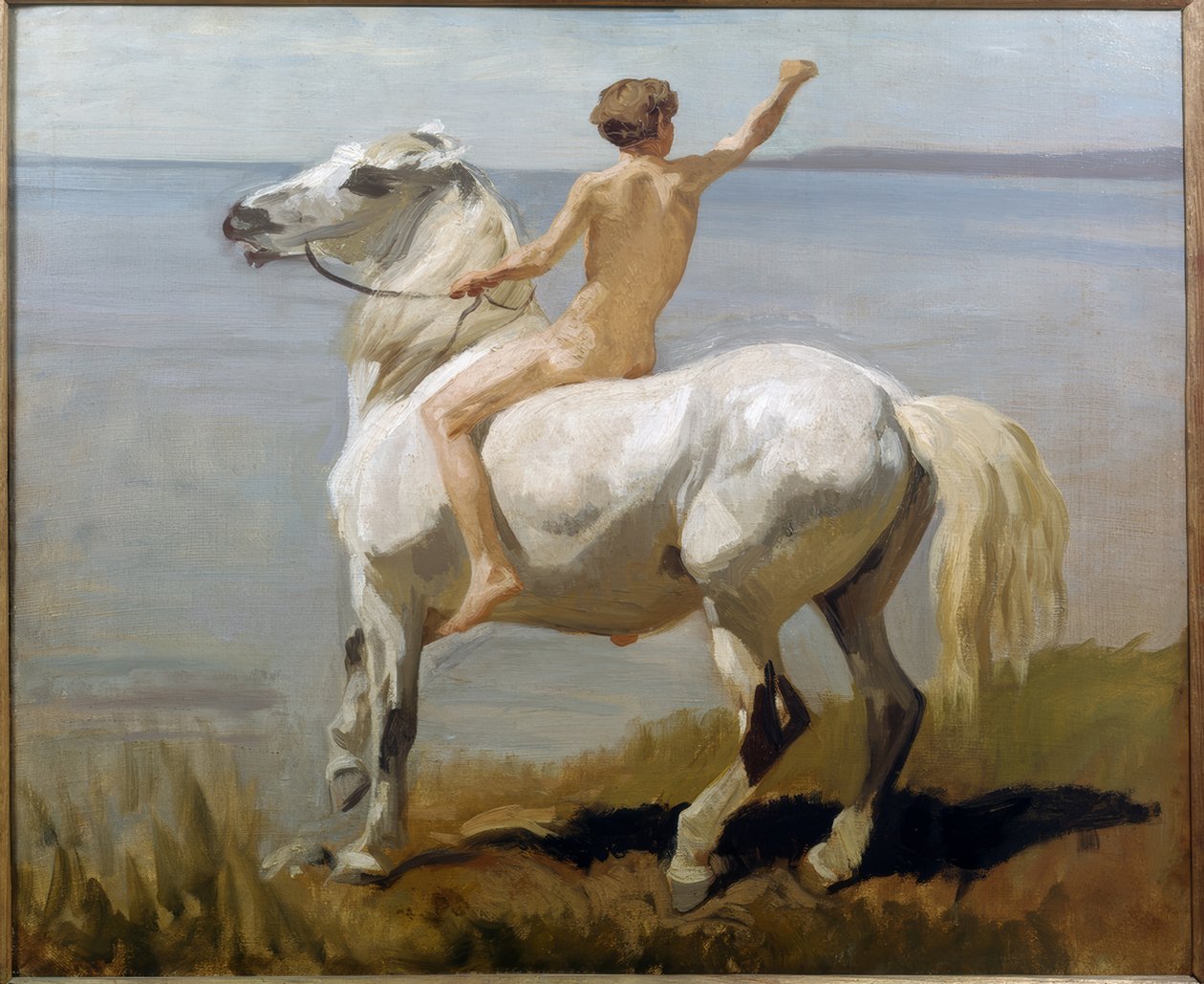 Ragazzo su cavallo bianco da Rudolf Koller