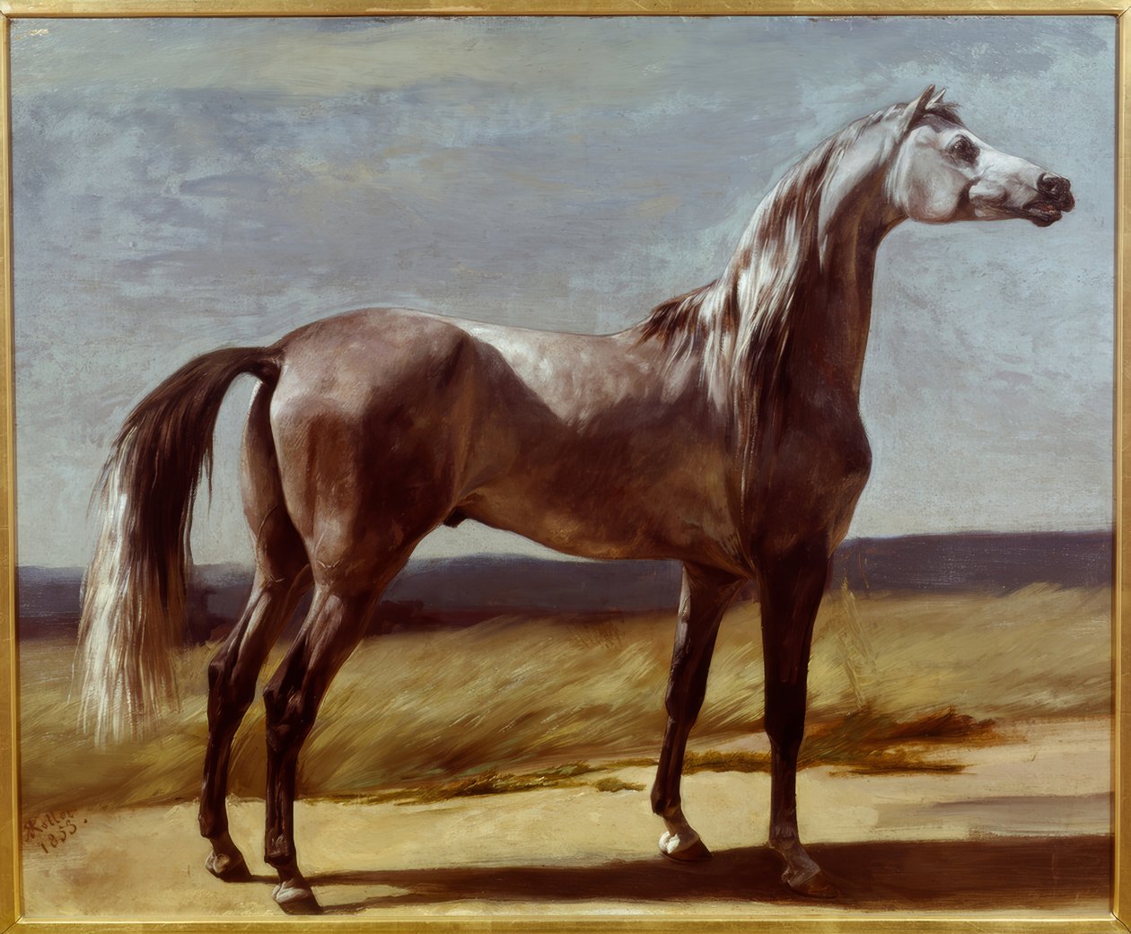 Cavallo in un paesaggio da Rudolf Koller