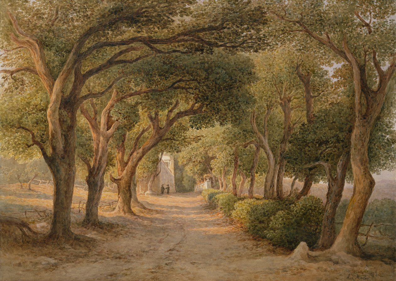 Castel Gandolfo da Rudolf Müller